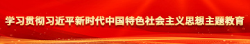 少萝被书操学习贯彻习近平新时代中国特色社会主义思想主题教育