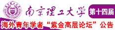 骚货流水了在线观看南京理工大学第十四届海外青年学者紫金论坛诚邀海内外英才！